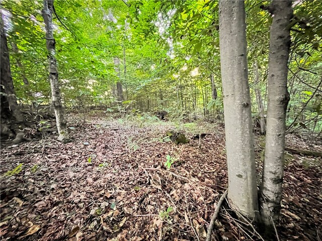 00 Doolittle Rd, Baldwin, NY 14859