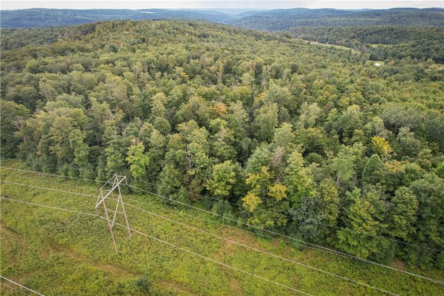 00 Doolittle Rd, Baldwin, NY 14859
