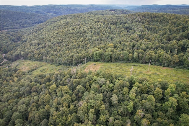 00 Doolittle Rd, Baldwin, NY 14859