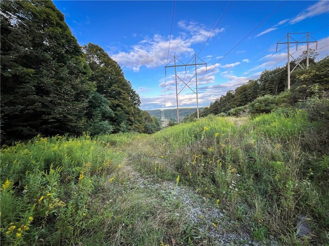 00 Doolittle Rd, Baldwin, NY 14859