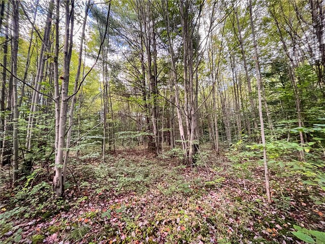 00 Doolittle Rd, Baldwin, NY 14859