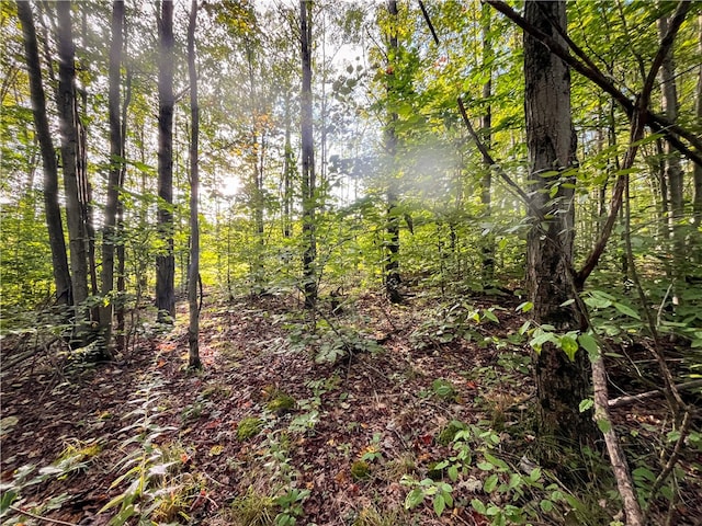 00 Doolittle Rd, Baldwin, NY 14859