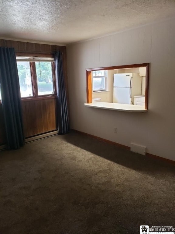 empty room featuring a baseboard heating unit, a textured ceiling, and carpet