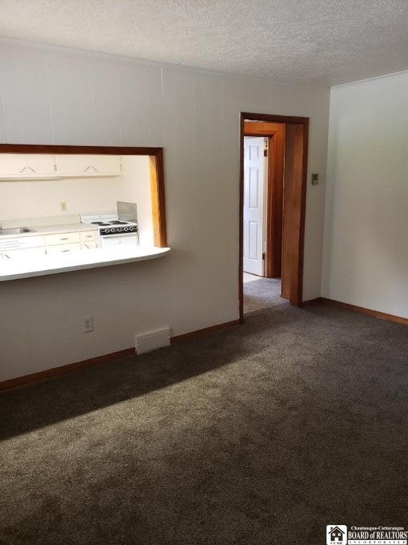 carpeted spare room with a textured ceiling and sink