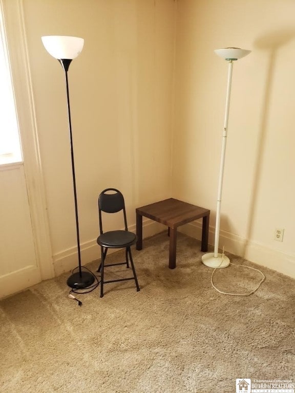 living area with carpet floors