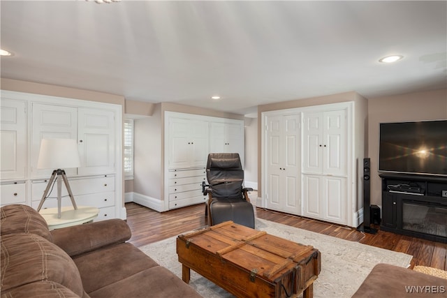 living room featuring hardwood / wood-style flooring