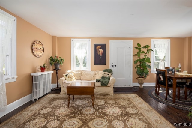 living room with dark hardwood / wood-style flooring and radiator heating unit