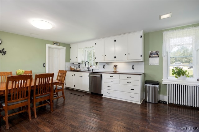 kitchen featuring plenty of natural light, radiator heating unit, and dark hardwood / wood-style flooring