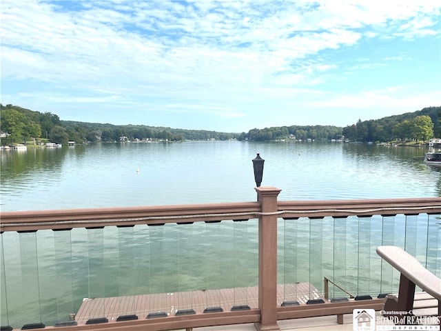 dock area featuring a water view