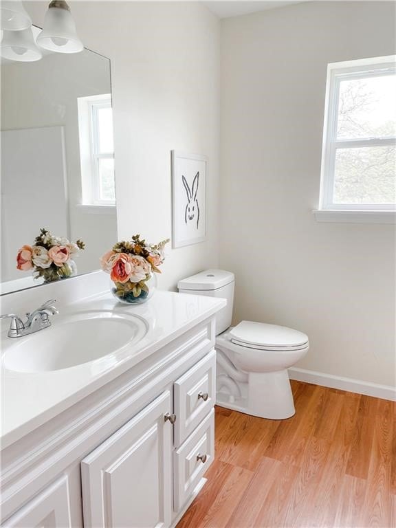 bathroom featuring vanity, toilet, and hardwood / wood-style flooring