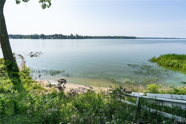 view of water feature