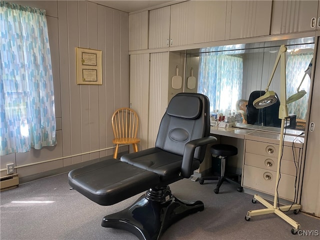 interior space featuring wood walls and carpet floors