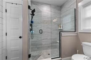 full bathroom with toilet and a shower stall