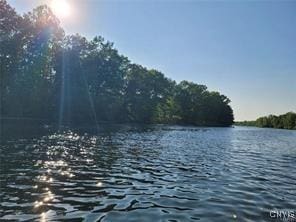 property view of water featuring a forest view