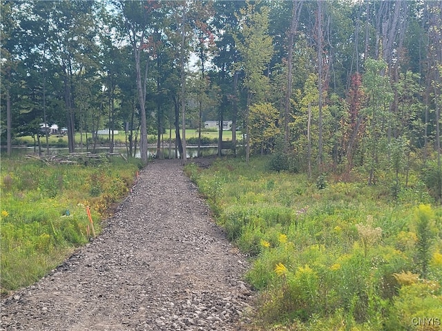 view of road