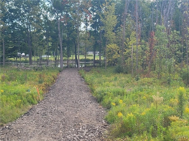 view of property's community
