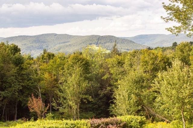 1090 Park Hill Rd, Colchester, NY 13755 - property view of mountains with a view of trees