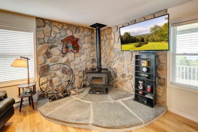 1090 Park Hill Rd, Colchester, NY 13755 - room details featuring baseboards, a wood stove, and wood finished floors