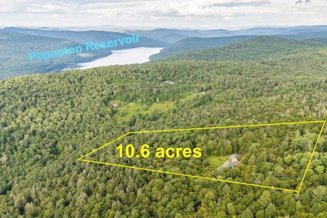 1090 Park Hill Rd, Colchester, NY 13755 - bird's eye view with a view of trees and a mountain view