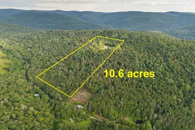 1090 Park Hill Rd, Colchester, NY 13755 - bird's eye view featuring a mountain view and a forest view