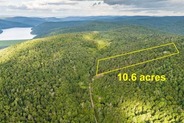 1090 Park Hill Rd, Colchester, NY 13755 - aerial view with a view of trees and a mountain view