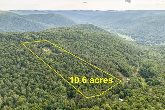 1090 Park Hill Rd, Colchester, NY 13755 - bird's eye view featuring a mountain view and a wooded view