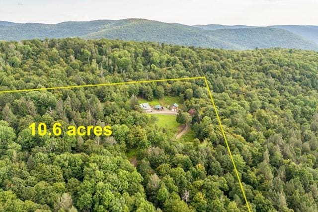 1090 Park Hill Rd, Colchester, NY 13755 - drone / aerial view featuring a wooded view and a mountain view