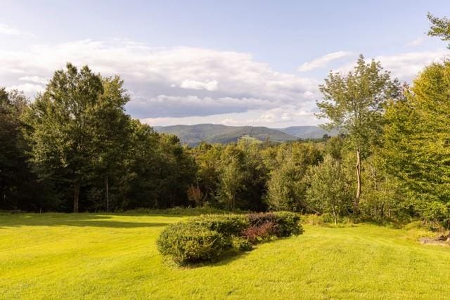 1090 Park Hill Rd, Colchester, NY 13755 - view of mountain feature with a forest view