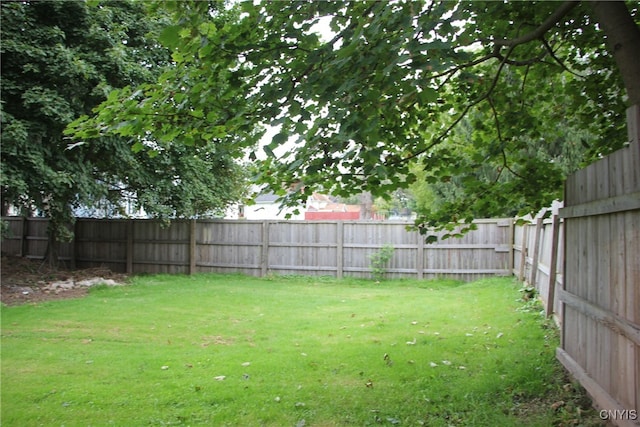 view of yard