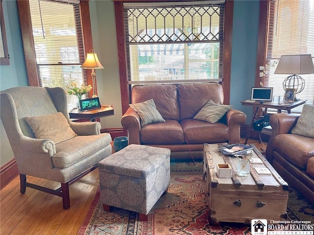 living room featuring wood-type flooring