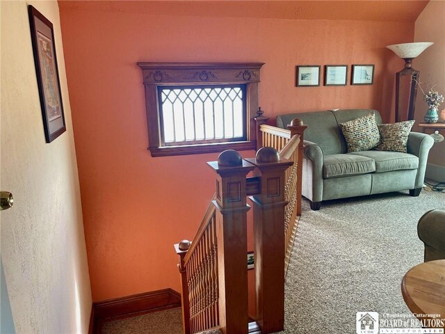 living room featuring carpet flooring