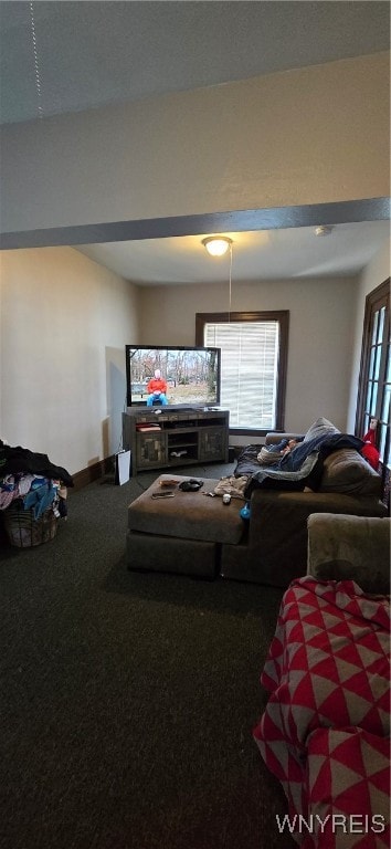 carpeted living room featuring a wealth of natural light