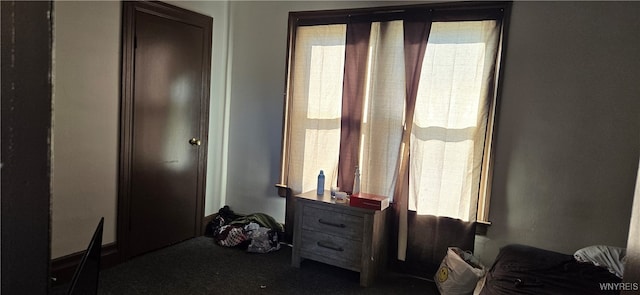 bedroom featuring dark carpet