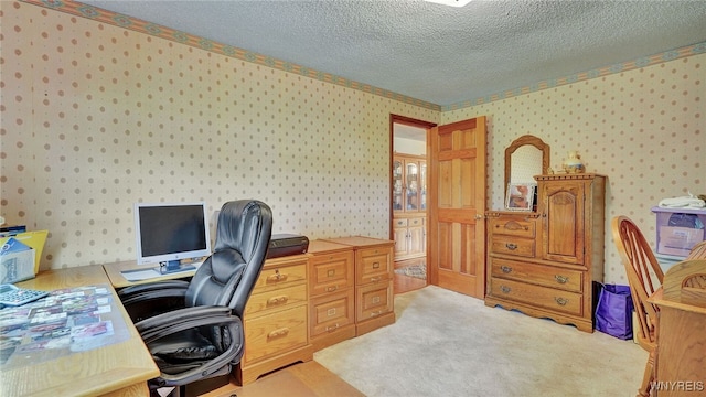 office with light carpet and a textured ceiling