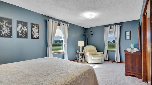 bedroom featuring carpet and a textured ceiling