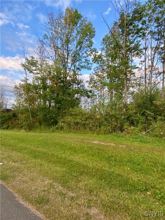 00 Trenton Rd, Deerfield NY, 13502 land for sale