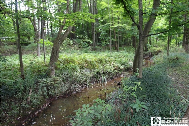 222 Seymour St, Pomfret, NY 14063 - view of wooded area
