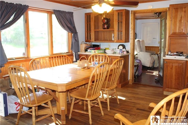 222 Seymour St, Pomfret, NY 14063 - dining room featuring dark wood-type flooring and a ceiling fan