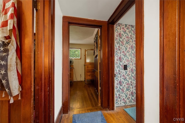 hall with hardwood / wood-style floors