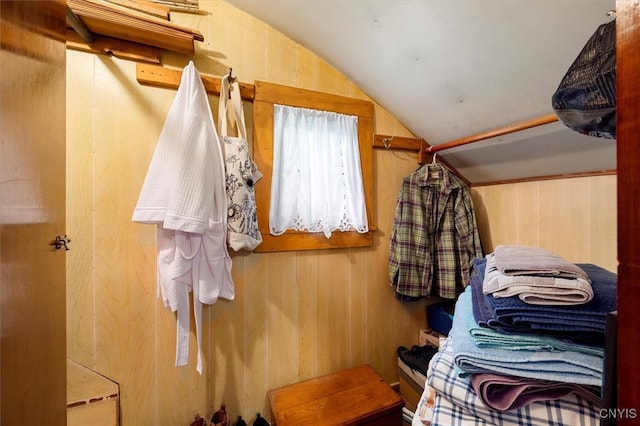 spacious closet with lofted ceiling