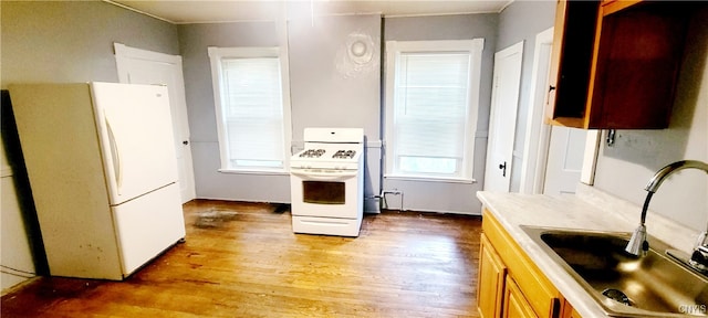 kitchen with light hardwood / wood-style flooring, sink, and white appliances