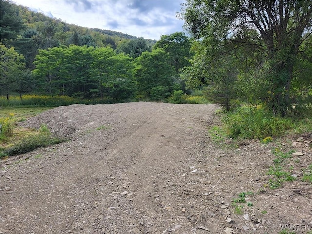 LotA Porter Hollow Road, Great Valley NY, 14741 land for sale