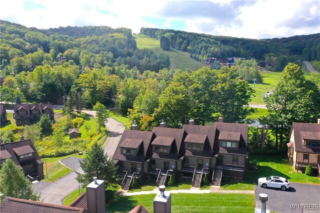 81 Woods Rd, Ellicottville, NY 14731 - photo 40