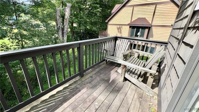 81 Woods Rd, Ellicottville, NY 14731 - photo 37