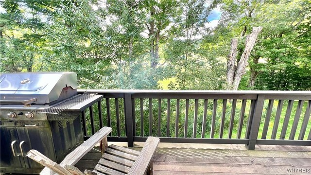 81 Woods Rd, Ellicottville, NY 14731 - photo 39