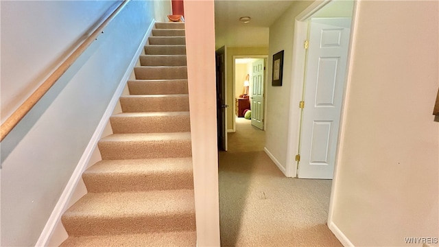 stairs with carpet flooring