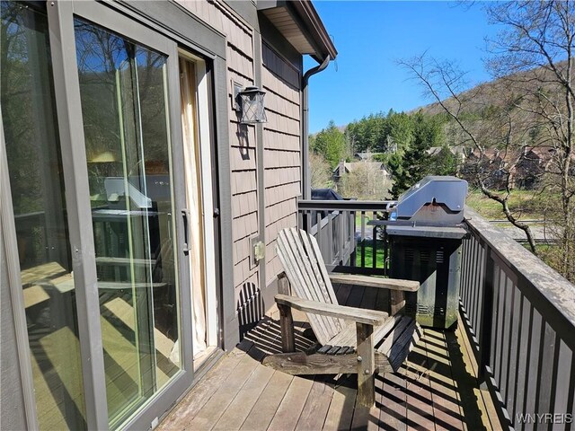 81 Woods Rd, Ellicottville, NY 14731 - photo 43