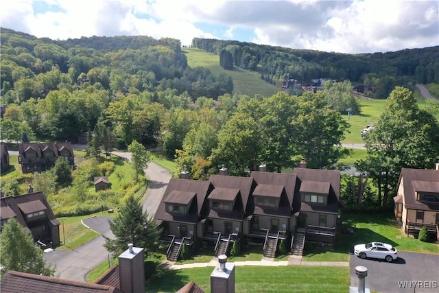 81 Woods Rd, Ellicottville, NY 14731 - photo 2
