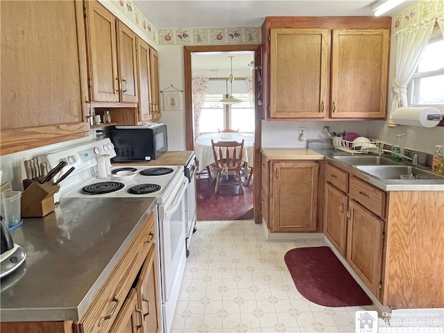 kitchen with white range with electric stovetop, sink, and plenty of natural light