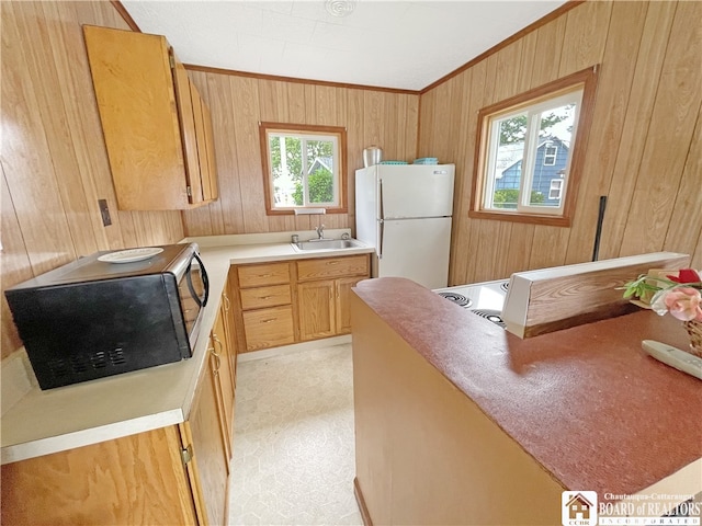 kitchen with white fridge, a wealth of natural light, and wooden walls